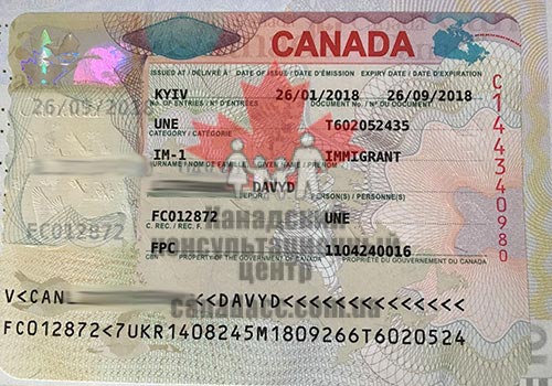 Иммиграционная виза в Канаду, Давид