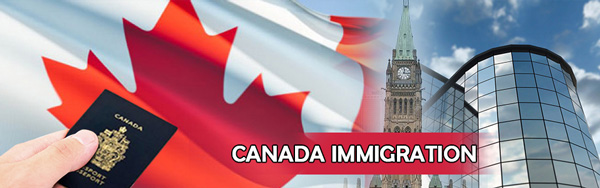 виды иммиграции