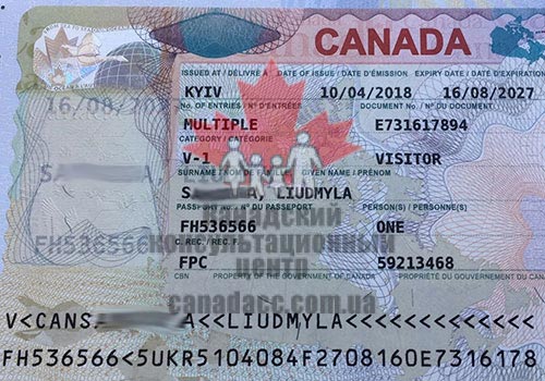 гостевая виза7