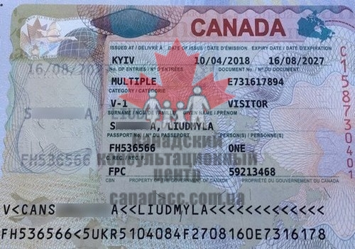 гостевая виза3