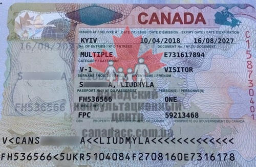 гостевая виза4