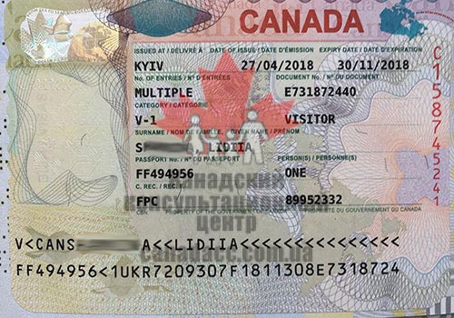 гостевая виза2